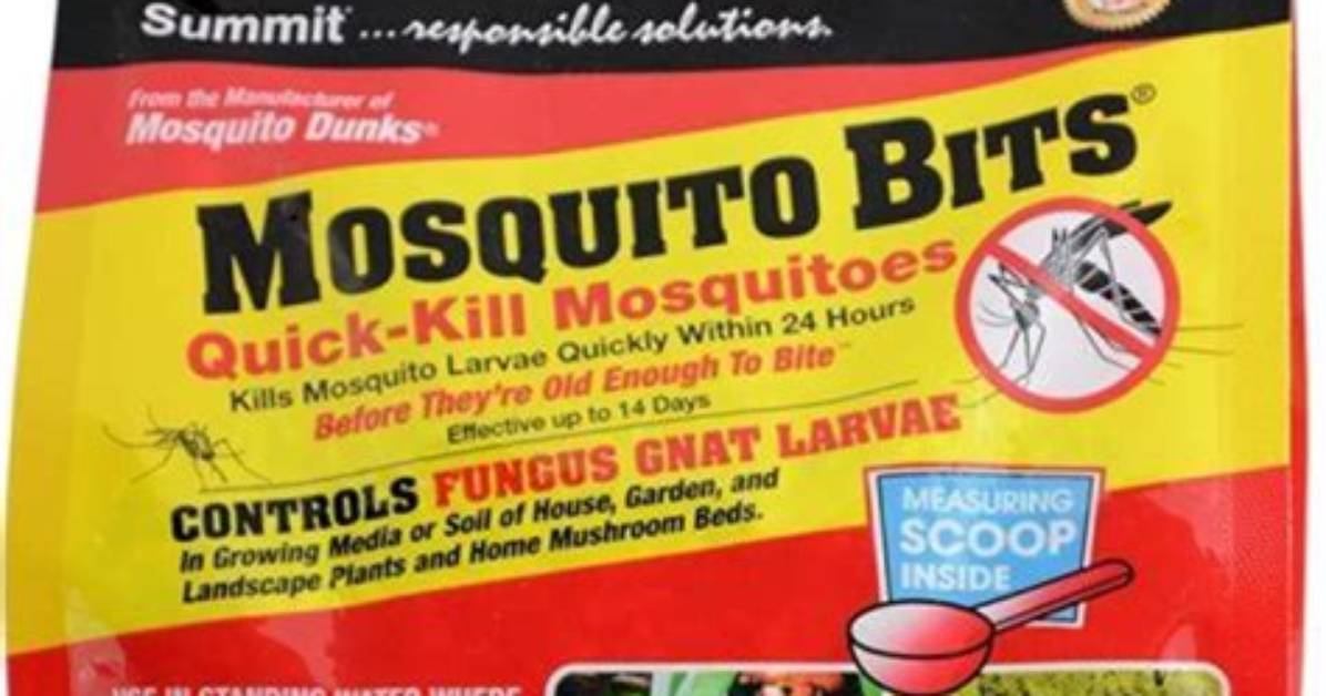 How Do Springs Work? | Contextresponse. Com