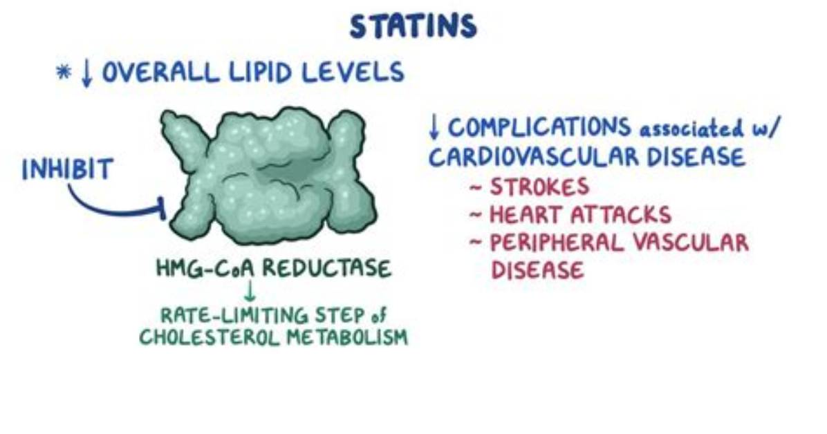 How Do Statins Work?