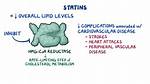 How Do Statins Work?