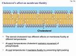 How Do Sterols Affect Membrane Fluidity