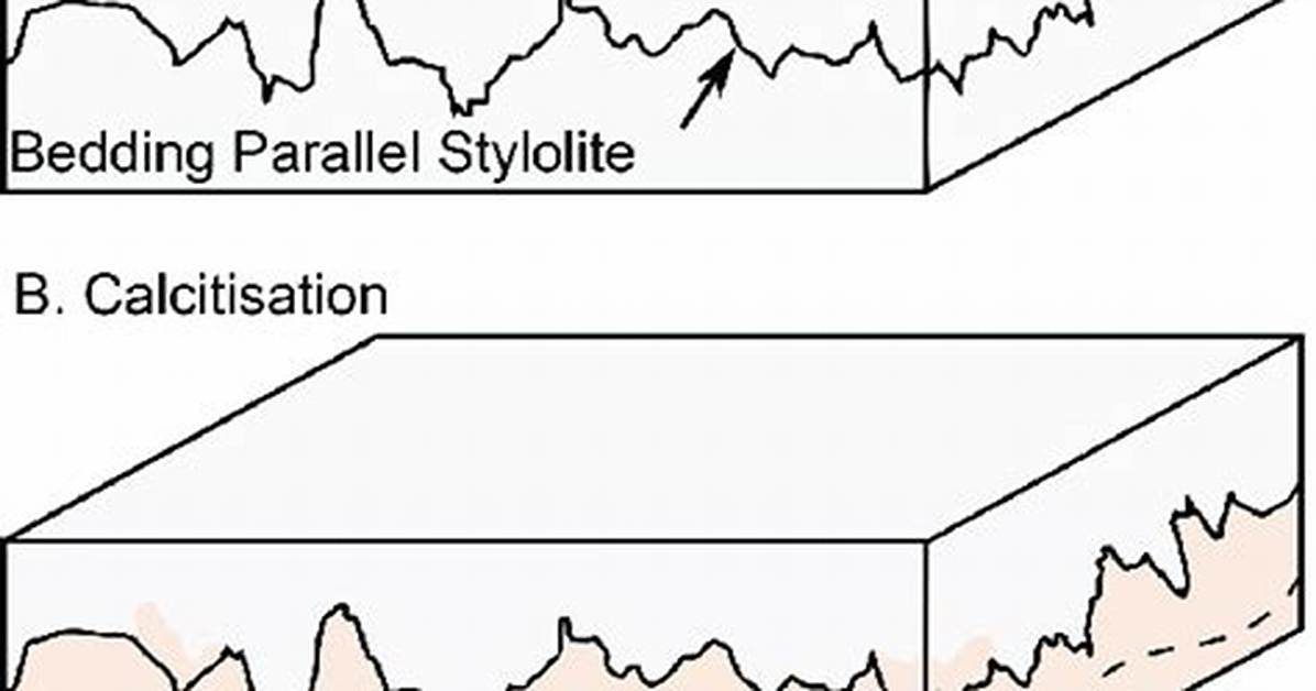 How Do Stylolites Form?