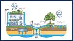 How Do Suds Work