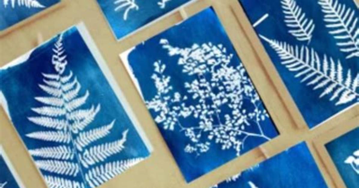 How Do Sun Prints Work