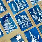 How Do Sun Prints Work