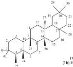 How Do Triterpenes Work?