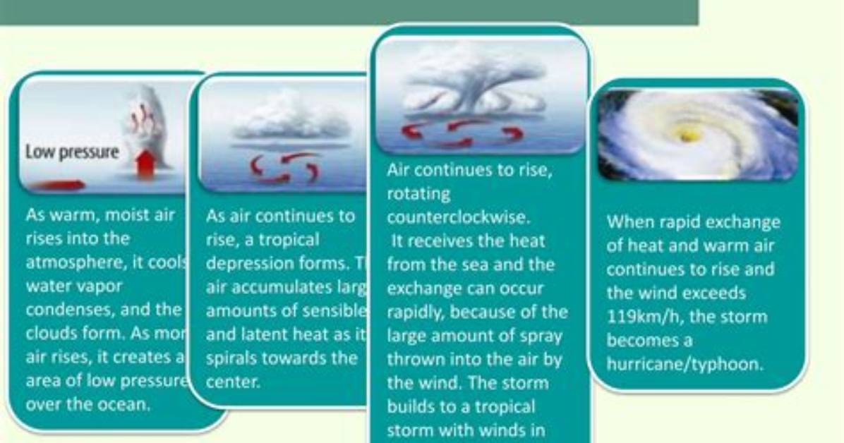 How Do Typhoons Develop?