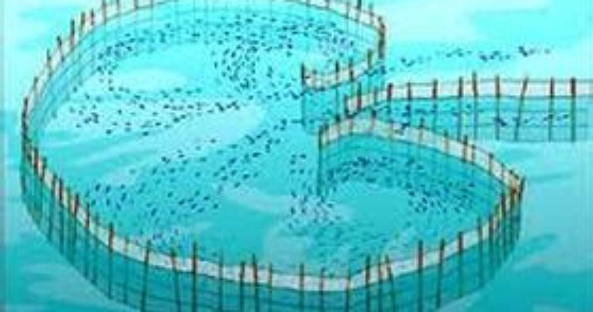 How Do Weirs Work?