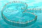How Do Weirs Work?
