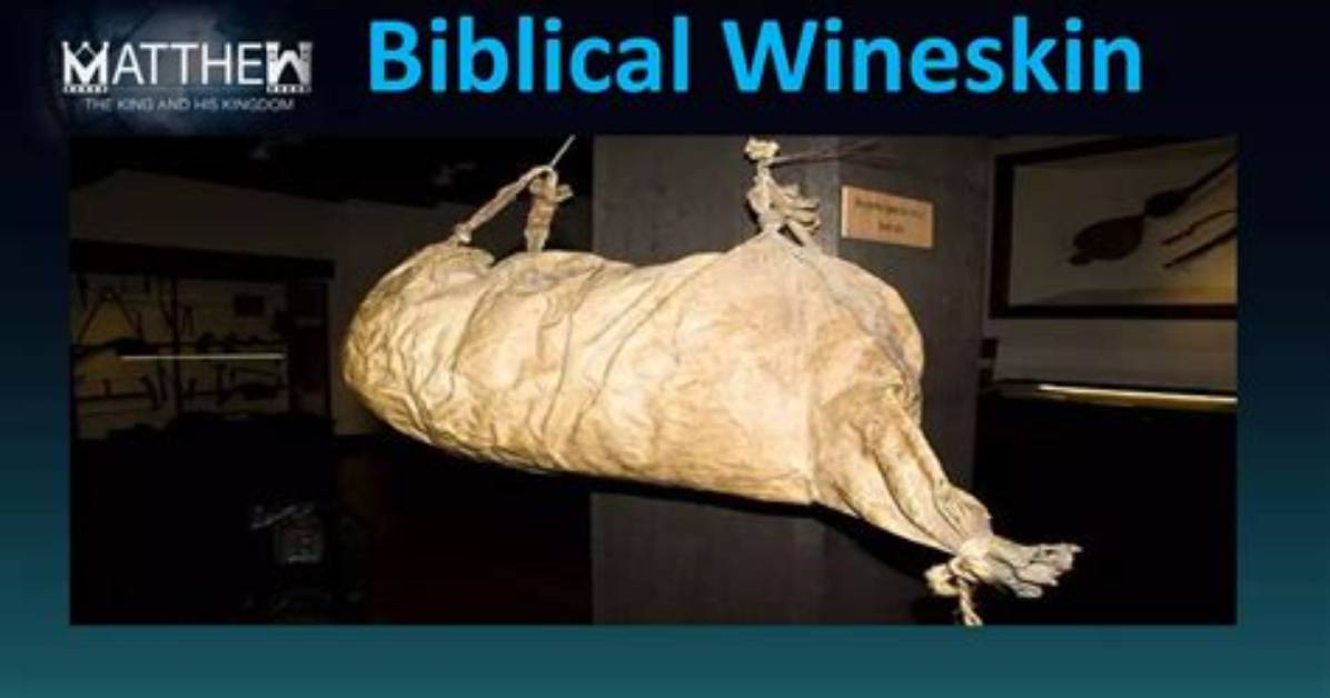 How Do Wineskins Work?