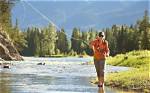 How Do You Catch a Fly?