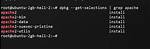 How Do You Check Apache Is Installed or Not in Linux?