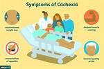 How Do You Code Cachexia? Check This out | Icd 10 Code for Cachexia