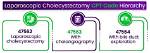 How Do You Code Laparoscopic Cholecystectomy?