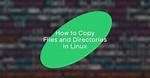 How Do You Copy Text in Linux Terminal?