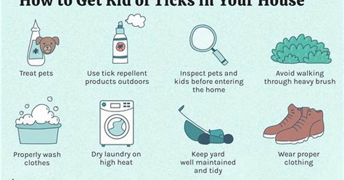 How Do You Cure Tics