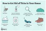 How Do You Cure Tics