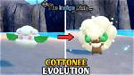How Do You Evolve Cottonee?
