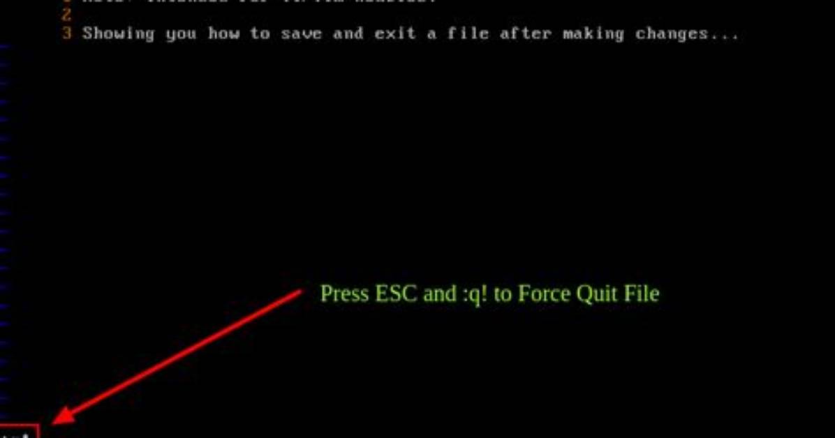 How Do You Force Quit in Linux?