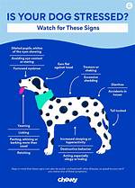 How Do You Get a Dog to Stop Approaching You?