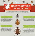 How Do You Get Rid of Bed Head Without Showering?