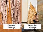 How Do You Hide Termite Damage?