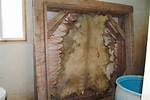How Do You Keep Rawhide from Drying Out