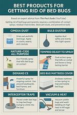 How Do You Kill Bed Bugs