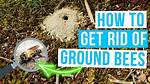How Do You Kill Ground Bees
