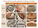 How Do You Know When Bread Dough Is Kneaded Enough