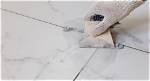 How Do You Know When Grout Needs to Be Replaced?