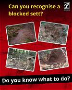 How Do You Lay a Sett