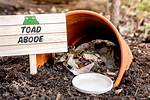 How Do You Make a Toad Abode