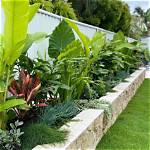How Do You Mark Plants