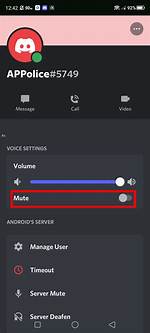 How Do You Mute Someone on Voice Chat?