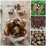 How Do You Pick Chestnuts?
