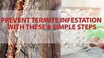 How Do You Prevent Termites?