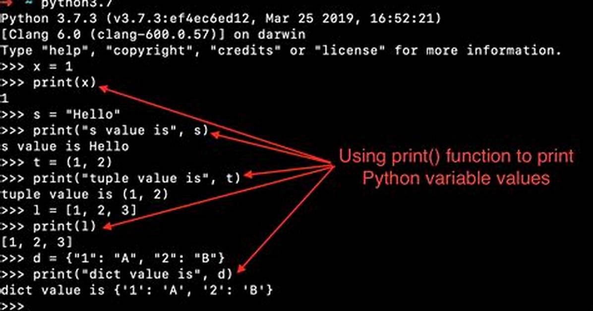 How Do You Print a Variable in Unix Shell Script?