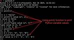 How Do You Print a Variable Value in Unix?