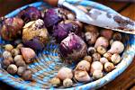 How Do You Save Bulbs