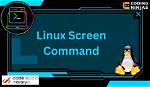 How Do You Screen Command in Linux?