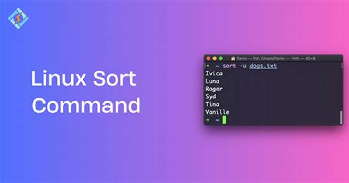 How Do You Sort a Command in Unix?