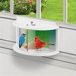 How Do You Squirrel Proof a Window Bird Feeder