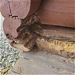 How Do You Stop Log Rot