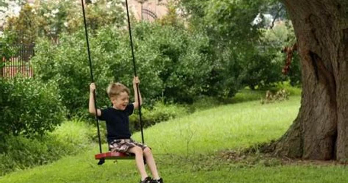 How Do You Swing a Tree