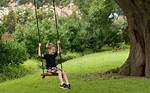 How Do You Swing a Tree