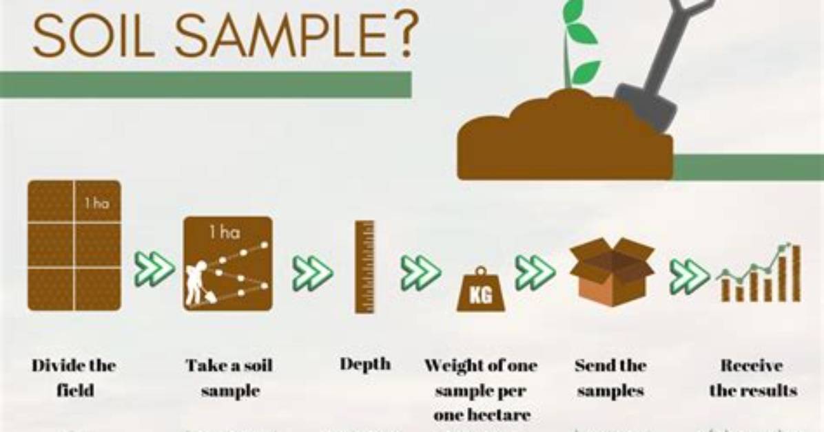How Do You Test a Soil Sample?