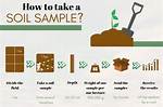 How Do You Test a Soil Sample?