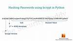 How Do You Use Bcrypt for Hashing Passwords in Php? [Duplicate]