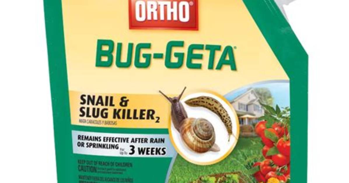 How Do You Use Bug Geta