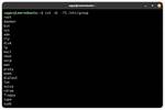 How Do You Use Cut Command in Linux?
